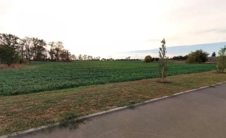 Prodej pozemku pro bydlení, Veselí nad Moravou, 580 m2