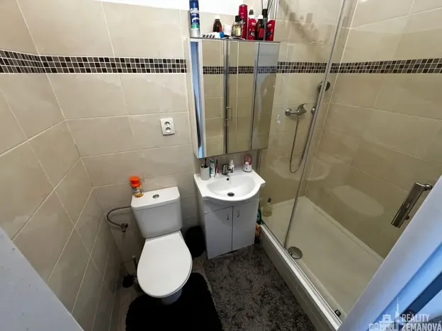 Pronájem bytu 1+1, Praha - Vinohrady, Řipská, 47 m2