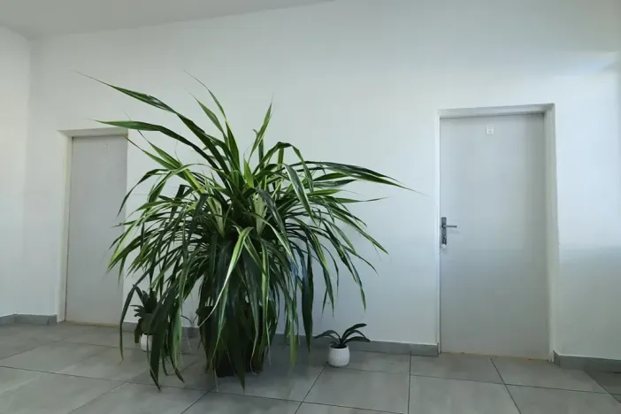 Pronájem kanceláře, Židlochovice, Nádražní, 24 m2