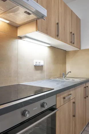 Pronájem bytu 1+kk, Plzeň, Železniční, 43 m2