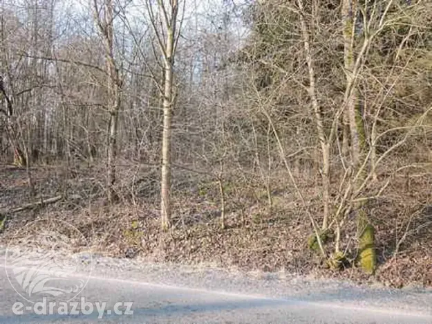 Dražba pole, Semanín, 9293 m2