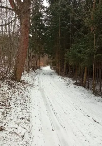 Dražba pole, Sušice, 4799 m2