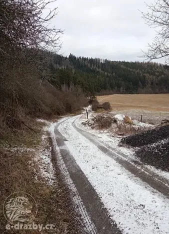 Dražba pole, Sušice, 4799 m2