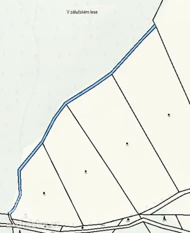 Dražba pole, Sušice, 4799 m2