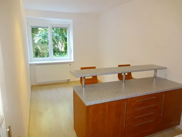 Pronájem bytu 1+1, Brno, Metodějova, 45 m2