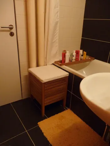 Prodej bytu 1+1, Brno, Palackého třída, 32 m2