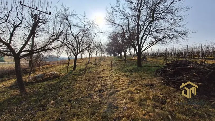 Prodej sadu/vinice, Hovorany, 1322 m2