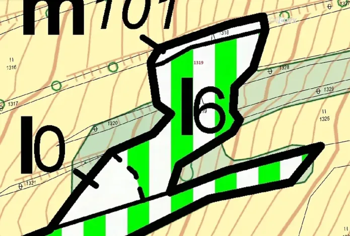 Dražba lesa, Suchdol nad Odrou, 2439 m2