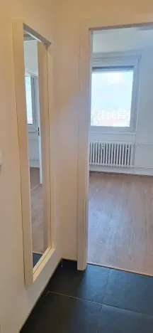 Pronájem bytu 1+1, Brno, Srbská, 35 m2