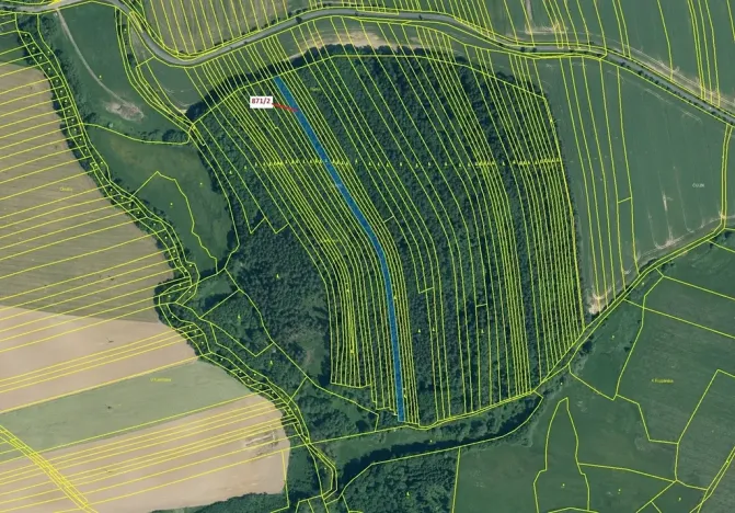 Dražba lesa, Janovice nad Úhlavou, 4727 m2