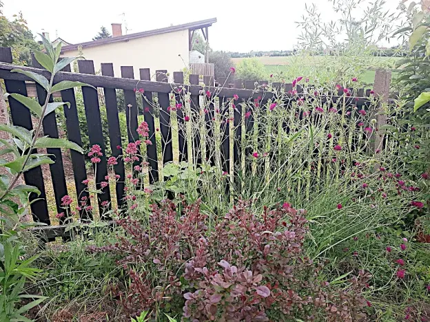 Prodej rodinného domu, Klecany, Na skalkách, 115 m2