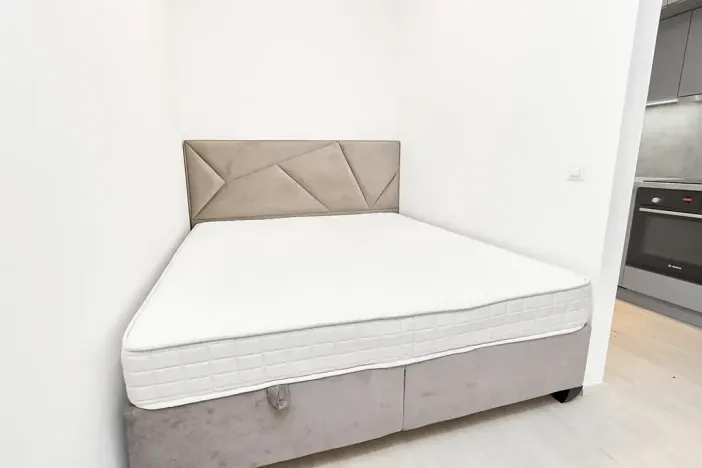 Prodej bytu 1+kk, Praha - Žižkov, Hartigova, 45 m2