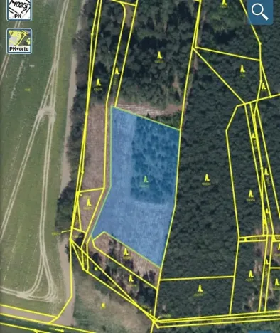 Prodej lesa, Veliny, 5028 m2