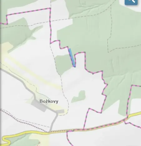 Prodej lesa, Blížejov, 11251 m2