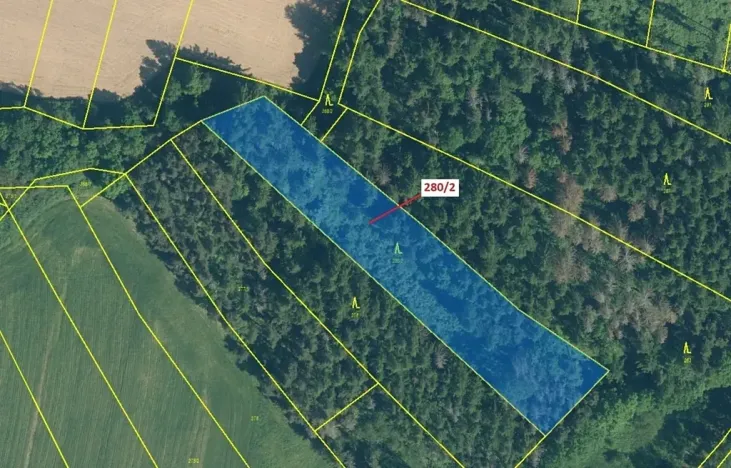 Dražba lesa, Kovčín, 4872 m2