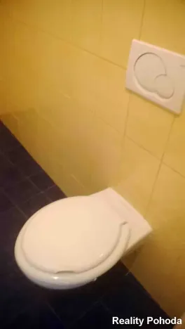 Pronájem bytu 2+1, Prostějov, Fügnerova, 56 m2