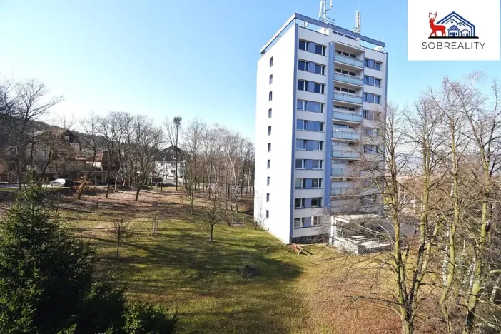 Prodej bytu 1+kk, Teplice, Opavská, 33 m2
