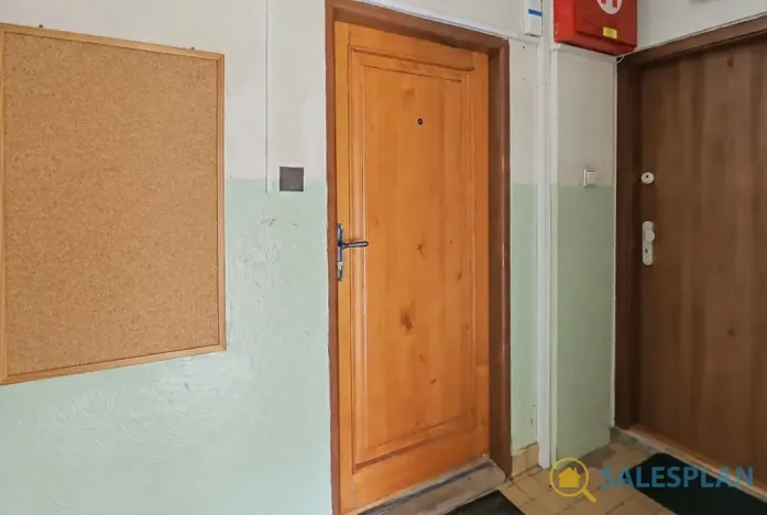 Prodej bytu 2+1, Nové Město na Moravě, Mírová, 60 m2