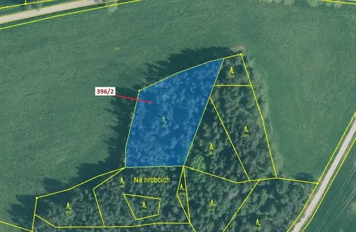 Dražba lesa, Kuřimany, 3340 m2