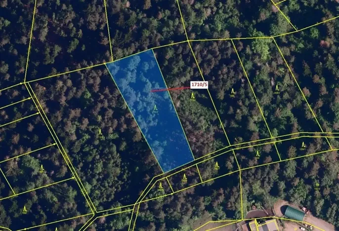 Dražba lesa, Návsí, 3528 m2