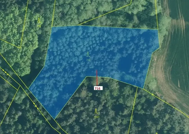 Dražba lesa, Kuřimany, 4499 m2