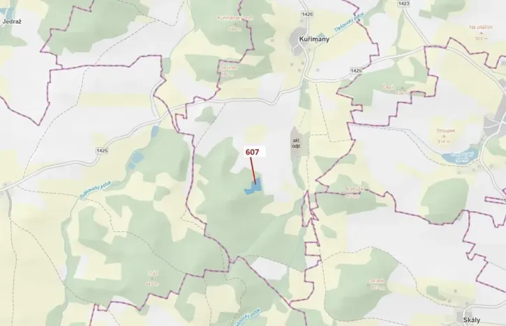 Dražba lesa, Kuřimany, 10437 m2