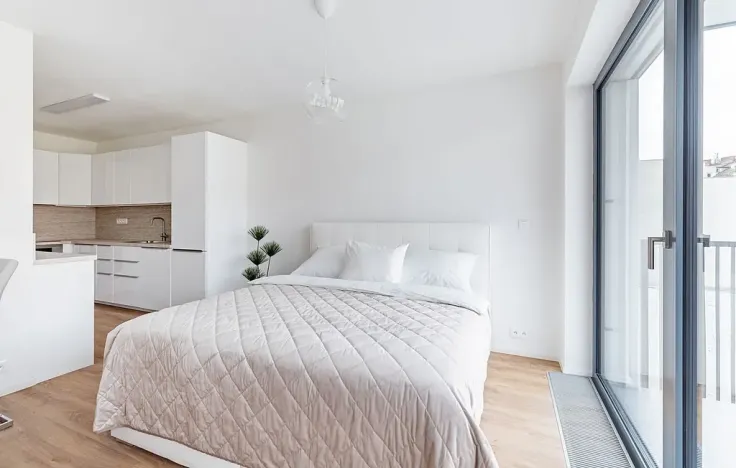 Pronájem bytu 1+kk, Brno - Veveří, Lidická, 52 m2