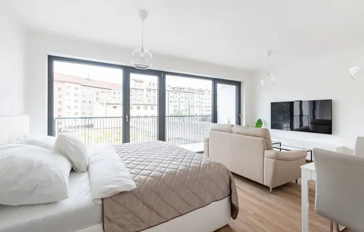Pronájem bytu 1+kk, Brno - Veveří, Lidická, 52 m2