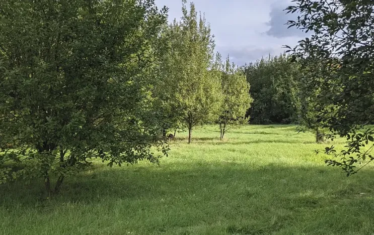 Prodej pozemku pro bydlení, Kladno, Jar. Seiferta, 4912 m2