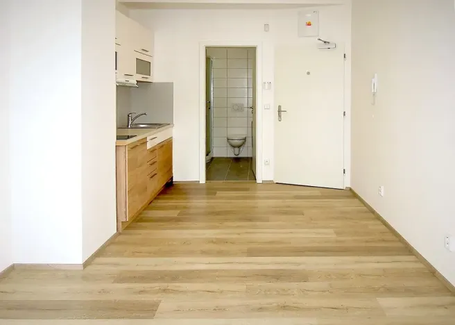 Pronájem bytu 1+kk, Brno, Lidická, 23 m2