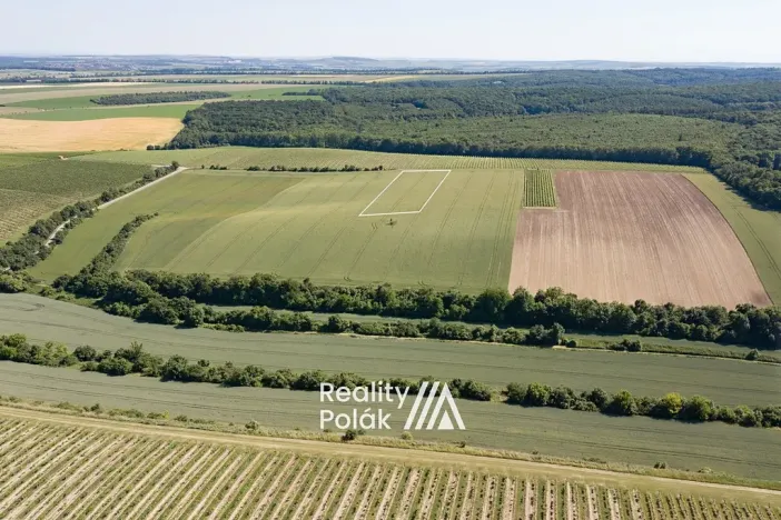 Prodej pole, Bulhary, 7380 m2