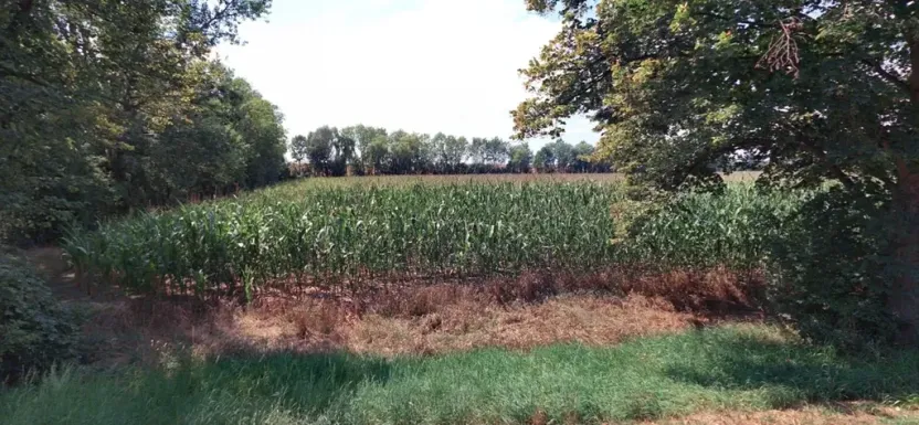 Prodej pole, Černuc, 1154 m2