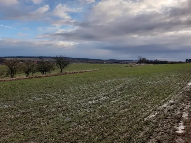 Prodej sadu/vinice, Malý Újezd, 7862 m2