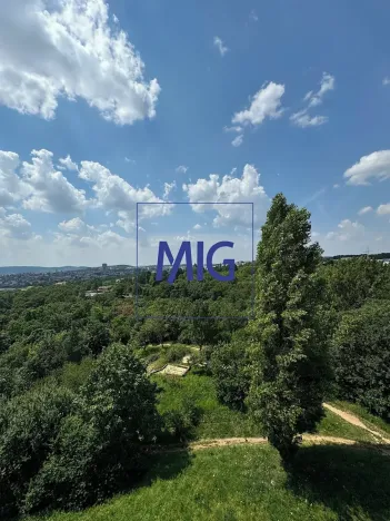 Pronájem bytu 1+kk, Brno, Tomečkova, 44 m2