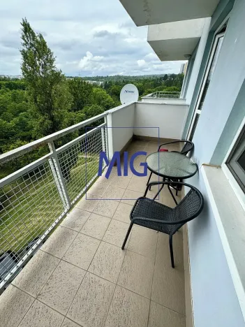 Pronájem bytu 1+kk, Brno, Tomečkova, 44 m2