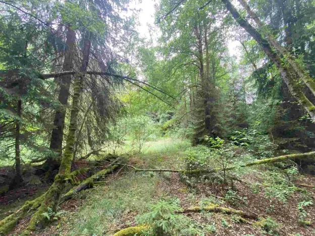 Prodej pole, Krásná, 10460 m2