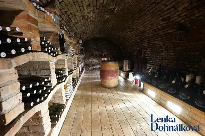 Prodej vinného sklepa, Mutěnice, 210 m2
