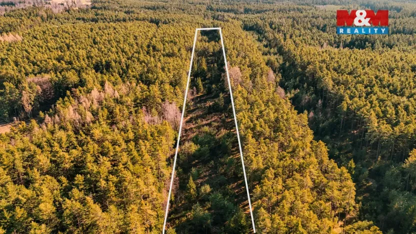 Prodej lesa, Olešnice, 18382 m2