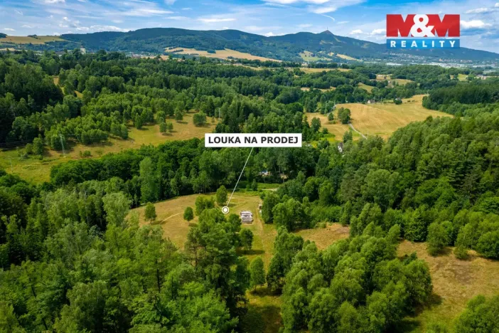 Prodej pozemku, Dlouhý Most, 8531 m2