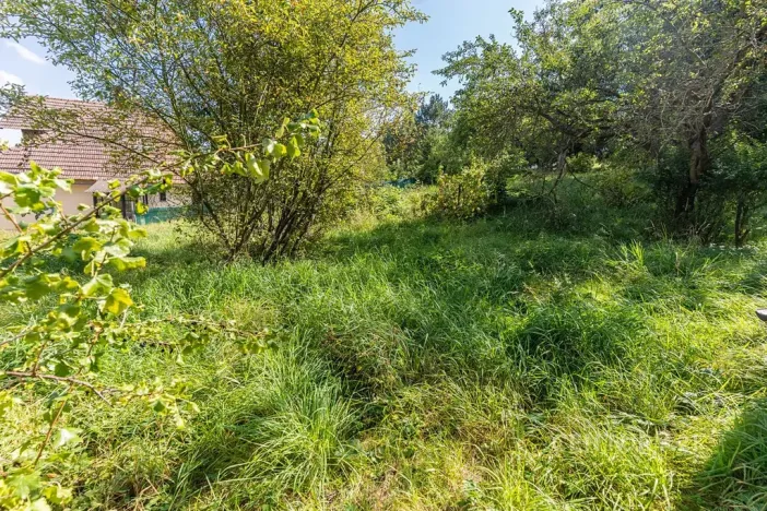 Prodej rodinného domu, Konice, 300 m2