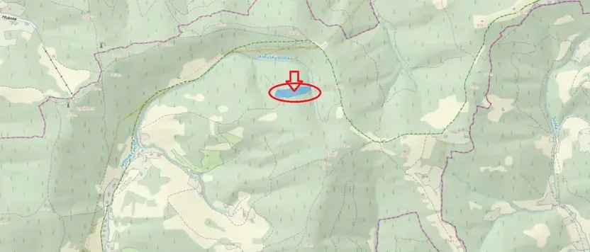 Prodej lesa, Janová, 7449 m2