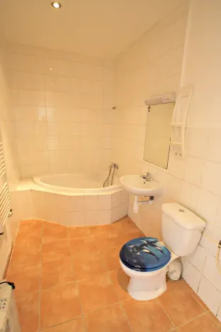 Pronájem bytu 2+kk, Bohumín, Svat. Čecha, 58 m2