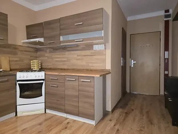 Pronájem bytu 1+1, Krupka, Karla Čapka, 36 m2