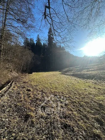 Prodej louky, Bozkov, 5815 m2