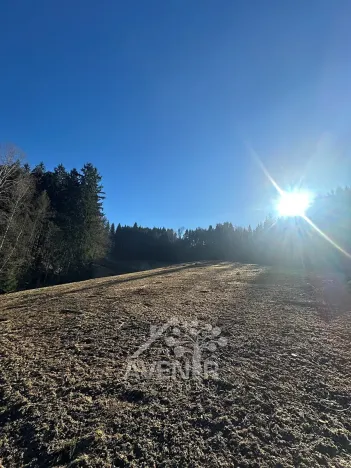 Prodej louky, Bozkov, 15029 m2