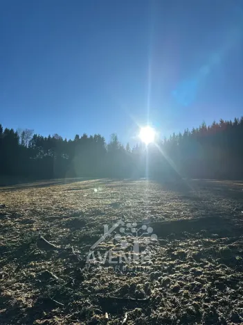 Prodej louky, Bozkov, 15029 m2