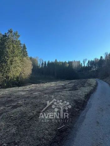 Prodej louky, Bozkov, 15029 m2