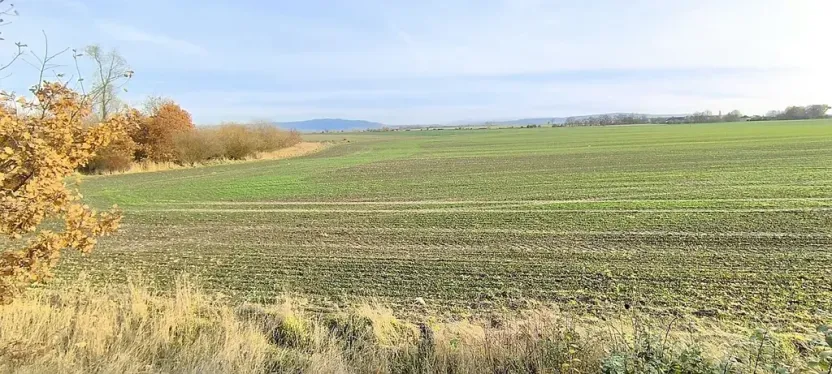 Prodej pole, Cheb, Nižnětagilská, 17000 m2