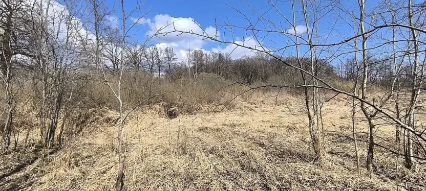 Prodej pole, Františkovy Lázně, 7083 m2