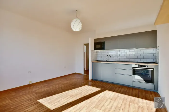 Pronájem bytu 2+kk, Ústí nad Labem, Brandtova, 43 m2
